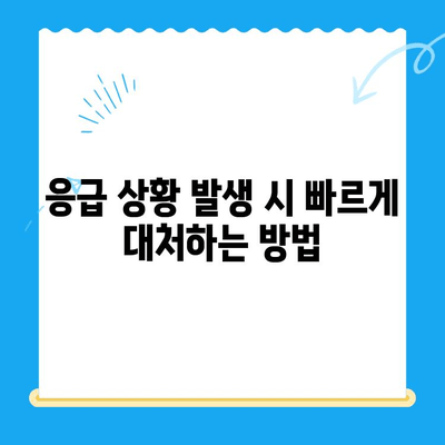 폴 동물병원 고양이 건강검진 & 응급실 대기 시간 안내 | 진료 예약, 응급 상황 대처, 문의 연락처