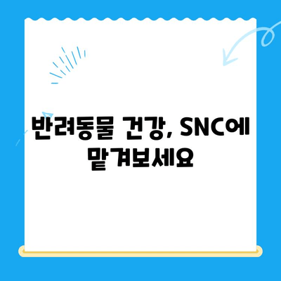 24시간 동물병원 SNC 동물메디컬센터 진료 후기| 실제 이용 후기 및 정보 공유 | 동물병원, 응급진료, 야간진료, 후기, 추천