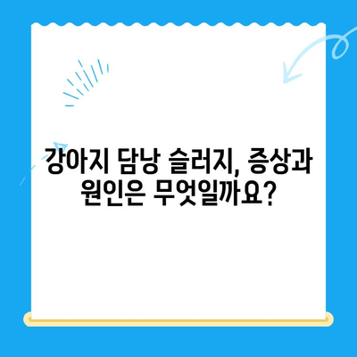 강아지 담낭 슬러지, 초음파 검사부터 24시간 동물병원 치료까지 | 담낭 슬러지, 강아지 질병, 동물병원, 초음파 검사, 치료법