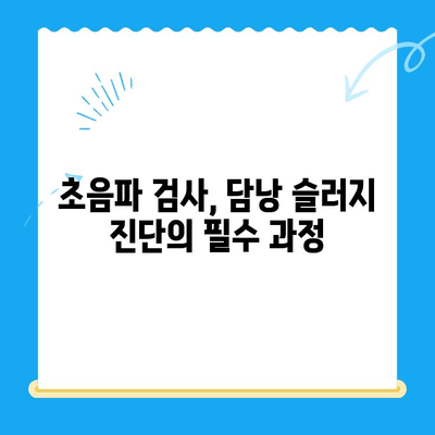 강아지 담낭 슬러지, 초음파 검사부터 24시간 동물병원 치료까지 | 담낭 슬러지, 강아지 질병, 동물병원, 초음파 검사, 치료법