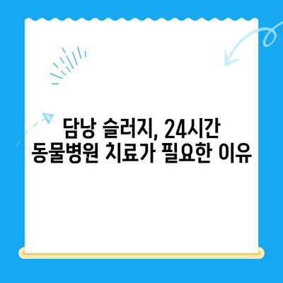 강아지 담낭 슬러지, 초음파 검사부터 24시간 동물병원 치료까지 | 담낭 슬러지, 강아지 질병, 동물병원, 초음파 검사, 치료법