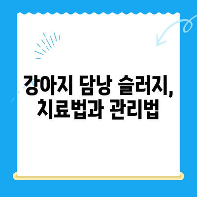 강아지 담낭 슬러지, 초음파 검사부터 24시간 동물병원 치료까지 | 담낭 슬러지, 강아지 질병, 동물병원, 초음파 검사, 치료법