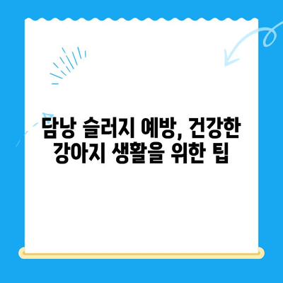 강아지 담낭 슬러지, 초음파 검사부터 24시간 동물병원 치료까지 | 담낭 슬러지, 강아지 질병, 동물병원, 초음파 검사, 치료법