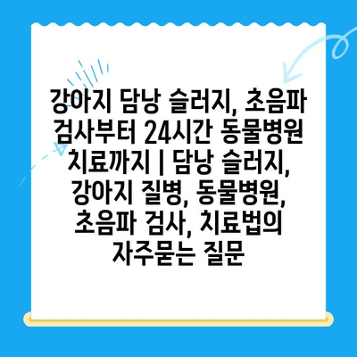 강아지 담낭 슬러지, 초음파 검사부터 24시간 동물병원 치료까지 | 담낭 슬러지, 강아지 질병, 동물병원, 초음파 검사, 치료법