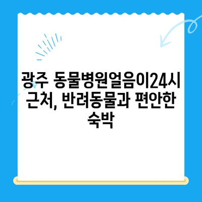 광주 동물병원얼음이24시 근처 게스트룸 정보| 편안한 숙박 가이드 | 반려동물 동반 여행, 숙박 정보, 광주 여행