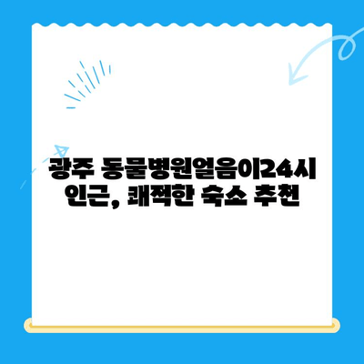 광주 동물병원얼음이24시 근처 게스트룸 정보| 편안한 숙박 가이드 | 반려동물 동반 여행, 숙박 정보, 광주 여행