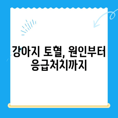 강아지 토혈 원인| 24시 동물병원 MRI 치료비 & 응급 처치 가이드 | 강아지 건강, 토혈, 응급 상황, 동물병원