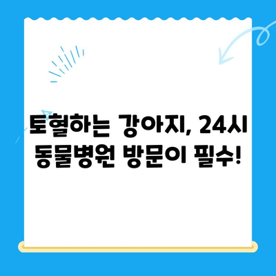 강아지 토혈 원인| 24시 동물병원 MRI 치료비 & 응급 처치 가이드 | 강아지 건강, 토혈, 응급 상황, 동물병원