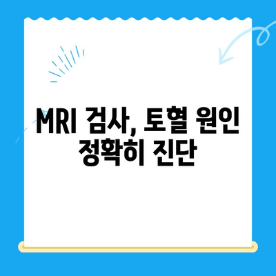 강아지 토혈 원인| 24시 동물병원 MRI 치료비 & 응급 처치 가이드 | 강아지 건강, 토혈, 응급 상황, 동물병원