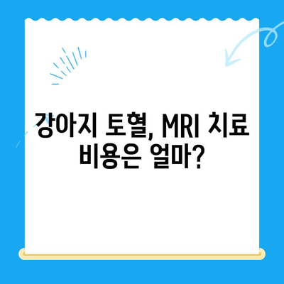 강아지 토혈 원인| 24시 동물병원 MRI 치료비 & 응급 처치 가이드 | 강아지 건강, 토혈, 응급 상황, 동물병원