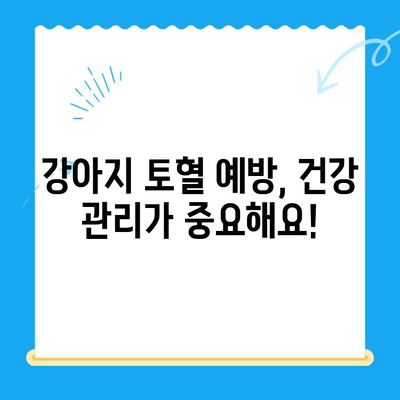 강아지 토혈 원인| 24시 동물병원 MRI 치료비 & 응급 처치 가이드 | 강아지 건강, 토혈, 응급 상황, 동물병원