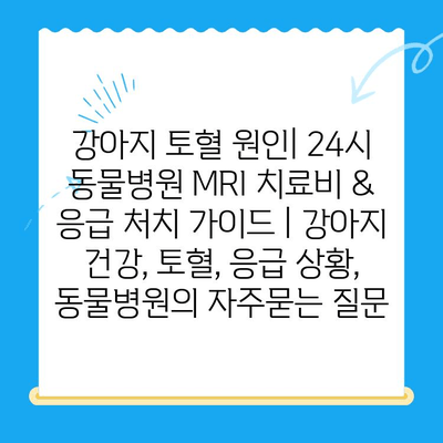 강아지 토혈 원인| 24시 동물병원 MRI 치료비 & 응급 처치 가이드 | 강아지 건강, 토혈, 응급 상황, 동물병원