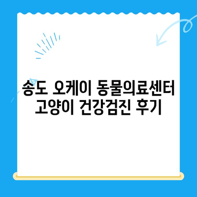 송도 오케이 동물의료센터 고양이 건강검진 후기| 꼼꼼한 검진부터 친절한 서비스까지 | 송도, 오케이 동물의료센터, 고양이 건강검진, 후기, 추천