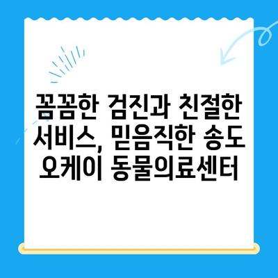 송도 오케이 동물의료센터 고양이 건강검진 후기| 꼼꼼한 검진부터 친절한 서비스까지 | 송도, 오케이 동물의료센터, 고양이 건강검진, 후기, 추천