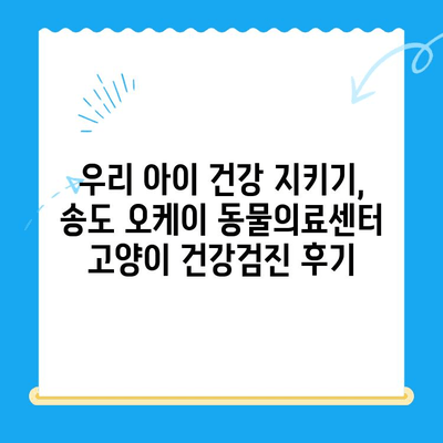 송도 오케이 동물의료센터 고양이 건강검진 후기| 꼼꼼한 검진부터 친절한 서비스까지 | 송도, 오케이 동물의료센터, 고양이 건강검진, 후기, 추천