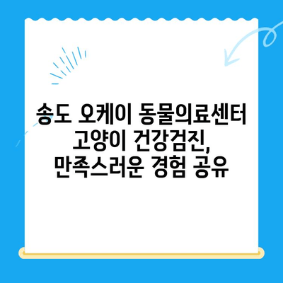 송도 오케이 동물의료센터 고양이 건강검진 후기| 꼼꼼한 검진부터 친절한 서비스까지 | 송도, 오케이 동물의료센터, 고양이 건강검진, 후기, 추천