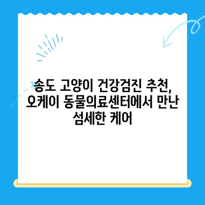 송도 오케이 동물의료센터 고양이 건강검진 후기| 꼼꼼한 검진부터 친절한 서비스까지 | 송도, 오케이 동물의료센터, 고양이 건강검진, 후기, 추천