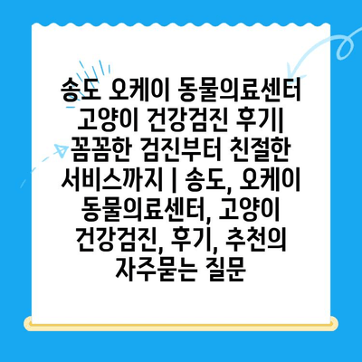 송도 오케이 동물의료센터 고양이 건강검진 후기| 꼼꼼한 검진부터 친절한 서비스까지 | 송도, 오케이 동물의료센터, 고양이 건강검진, 후기, 추천