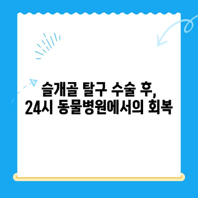 강아지 슬개골 탈구 수술 후 회복, 24시 수동물병원 케이스 소개| 회복실에서 지내기 | 슬개골 탈구, 수술, 회복, 24시 동물병원, 케이스