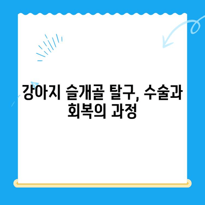 강아지 슬개골 탈구 수술 후 회복, 24시 수동물병원 케이스 소개| 회복실에서 지내기 | 슬개골 탈구, 수술, 회복, 24시 동물병원, 케이스