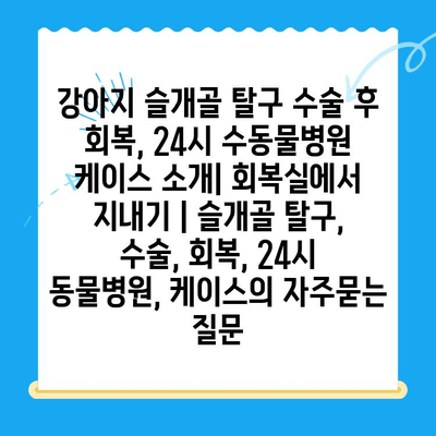 강아지 슬개골 탈구 수술 후 회복, 24시 수동물병원 케이스 소개| 회복실에서 지내기 | 슬개골 탈구, 수술, 회복, 24시 동물병원, 케이스