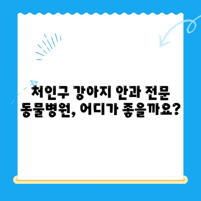 처인구 강아지 안과 검진, 믿을 수 있는 동물병원 찾기 | 처인구, 강아지, 안과, 동물병원, 검진