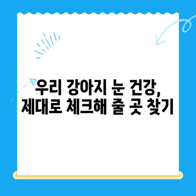 처인구 강아지 안과 검진, 믿을 수 있는 동물병원 찾기 | 처인구, 강아지, 안과, 동물병원, 검진