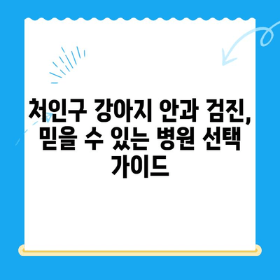 처인구 강아지 안과 검진, 믿을 수 있는 동물병원 찾기 | 처인구, 강아지, 안과, 동물병원, 검진