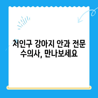 처인구 강아지 안과 검진, 믿을 수 있는 동물병원 찾기 | 처인구, 강아지, 안과, 동물병원, 검진