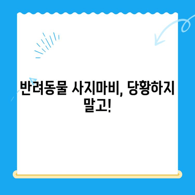 원주 24시 스카이 동물병원| 반려동물 사지마비 응급 상황, 어떻게 대처해야 할까요? | 응급 처치, 전문의 진료, 원주 동물병원