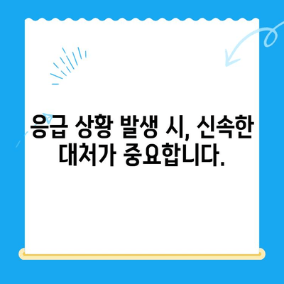 원주 24시 스카이 동물병원| 반려동물 사지마비 응급 상황, 어떻게 대처해야 할까요? | 응급 처치, 전문의 진료, 원주 동물병원