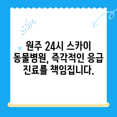 원주 24시 스카이 동물병원| 반려동물 사지마비 응급 상황, 어떻게 대처해야 할까요? | 응급 처치, 전문의 진료, 원주 동물병원