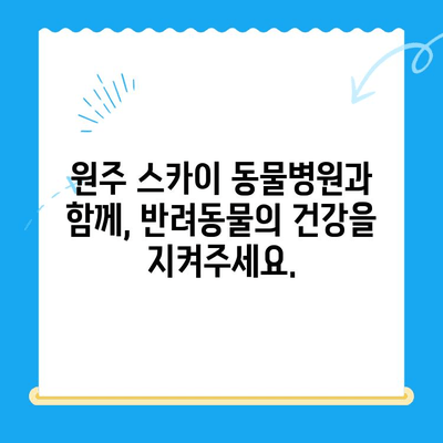 원주 24시 스카이 동물병원| 반려동물 사지마비 응급 상황, 어떻게 대처해야 할까요? | 응급 처치, 전문의 진료, 원주 동물병원