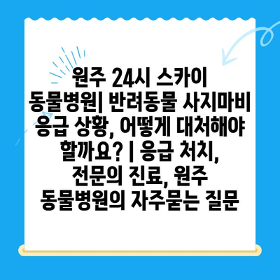 원주 24시 스카이 동물병원| 반려동물 사지마비 응급 상황, 어떻게 대처해야 할까요? | 응급 처치, 전문의 진료, 원주 동물병원