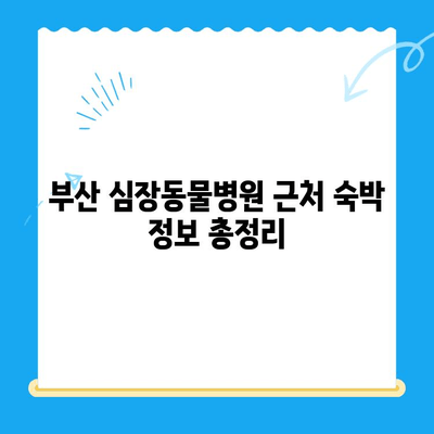 부산 심장동물병원 근처, 숙박 정보 총정리 | 부산, 동물병원, 숙박, 호텔, 모텔, 게스트하우스