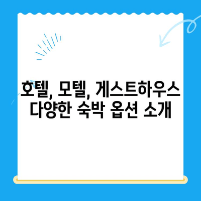 부산 심장동물병원 근처, 숙박 정보 총정리 | 부산, 동물병원, 숙박, 호텔, 모텔, 게스트하우스