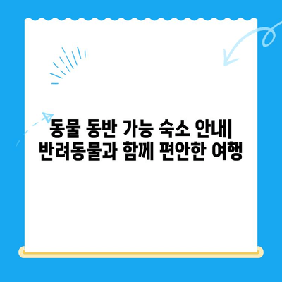 부산 심장동물병원 근처, 숙박 정보 총정리 | 부산, 동물병원, 숙박, 호텔, 모텔, 게스트하우스