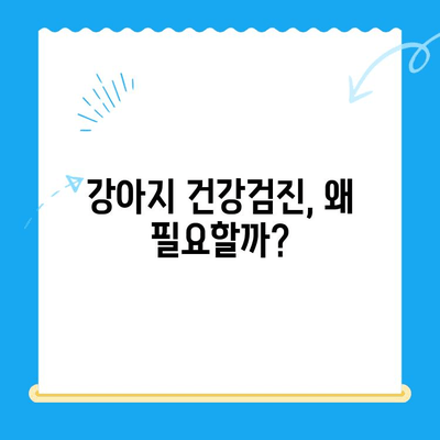 바덴 동물메디컬센터 강아지 건강검진 후기| 상세 검사 항목 및 결과 공유 | 강아지 건강검진, 동물병원 후기, 바덴 동물메디컬센터