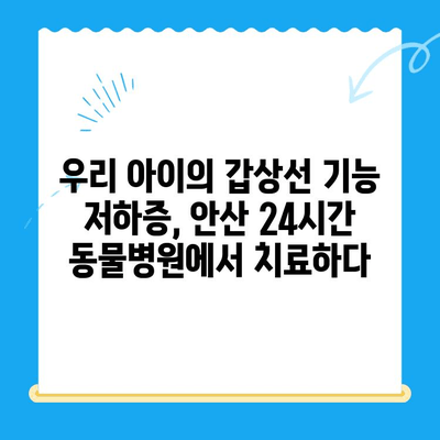 안산 24시간 동물병원 갑상선기능저하증 & 쿠싱증후군 치료 후기| 저희 아이의 경험 공유 | 반려동물 건강, 안산 동물병원 추천, 갑상선, 쿠싱