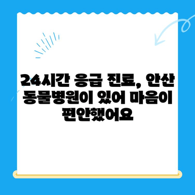 안산 24시간 동물병원 갑상선기능저하증 & 쿠싱증후군 치료 후기| 저희 아이의 경험 공유 | 반려동물 건강, 안산 동물병원 추천, 갑상선, 쿠싱