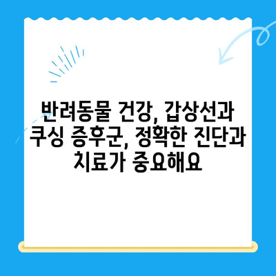 안산 24시간 동물병원 갑상선기능저하증 & 쿠싱증후군 치료 후기| 저희 아이의 경험 공유 | 반려동물 건강, 안산 동물병원 추천, 갑상선, 쿠싱