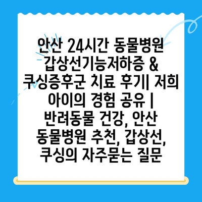 안산 24시간 동물병원 갑상선기능저하증 & 쿠싱증후군 치료 후기| 저희 아이의 경험 공유 | 반려동물 건강, 안산 동물병원 추천, 갑상선, 쿠싱