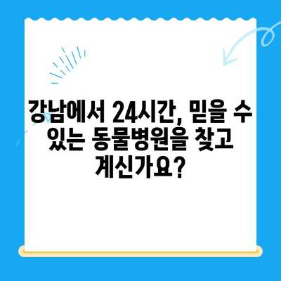 강남 예은 동물의료센터| CT 보유 & 24시간 진료 | 반려동물 응급, 첨단 장비, 믿을 수 있는 진료