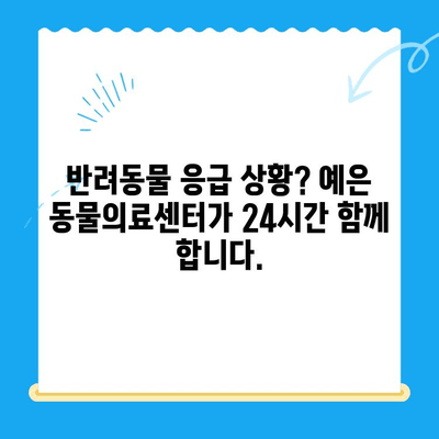 강남 예은 동물의료센터| CT 보유 & 24시간 진료 | 반려동물 응급, 첨단 장비, 믿을 수 있는 진료