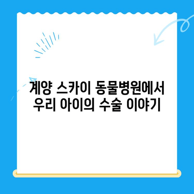인천 24시 동물병원 계양 스카이 수술 후기| 반려동물 건강 지키기 | 수술 후기, 병원 추천, 계양구 동물병원