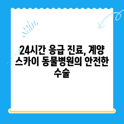 인천 24시 동물병원 계양 스카이 수술 후기| 반려동물 건강 지키기 | 수술 후기, 병원 추천, 계양구 동물병원