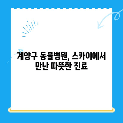 인천 24시 동물병원 계양 스카이 수술 후기| 반려동물 건강 지키기 | 수술 후기, 병원 추천, 계양구 동물병원