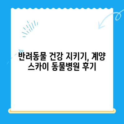 인천 24시 동물병원 계양 스카이 수술 후기| 반려동물 건강 지키기 | 수술 후기, 병원 추천, 계양구 동물병원