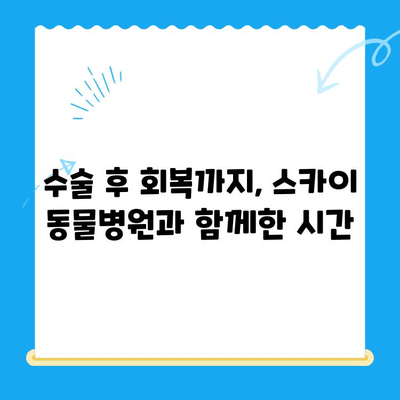 인천 24시 동물병원 계양 스카이 수술 후기| 반려동물 건강 지키기 | 수술 후기, 병원 추천, 계양구 동물병원