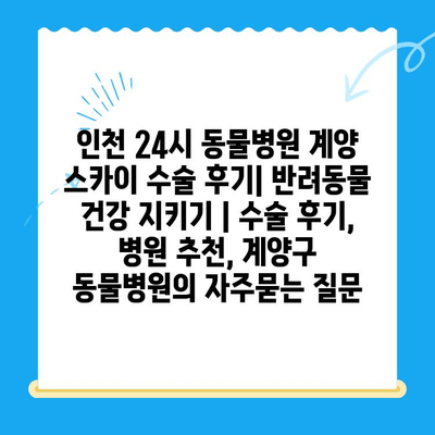 인천 24시 동물병원 계양 스카이 수술 후기| 반려동물 건강 지키기 | 수술 후기, 병원 추천, 계양구 동물병원